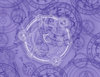 ARCANE 4