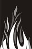Flame 8