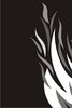 Flame 9