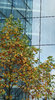 glass 4