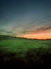 spring evening