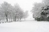 SNOW, SNOW, SNOW!