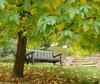 october bench