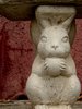 stone squirrel