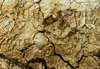 texture