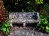 park bench in autumn