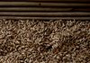 grain