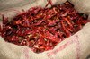 Chillies 1