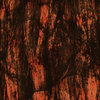 Abstract  texture