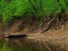 Boat on the river
