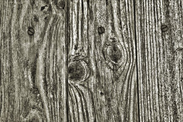 Background element: Wood texture http://dezignia.com