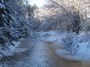 winter wonder land