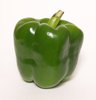 Green pepper