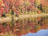 Fall Colors