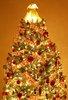 Christmas tree 1