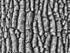 Background element
