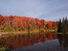 Fall colors 3