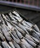 Fish Tanning