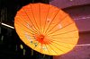 Orange Umbrella With Floral Mo