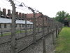 auschwitz 3