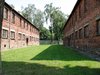 auschwitz 16