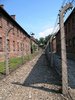 auschwitz 21
