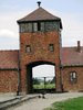 auschwitz 30