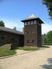 auschwitz 25