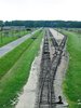 auschwitz 33
