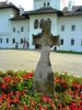 cross 1