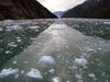 Glacier
