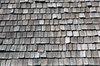 Shake Shingles