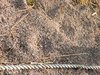 Rope on beach 1