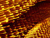Rusty concrete steel 3