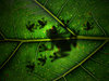 Mother Nature 4