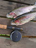 Two Trout