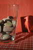 light study 1