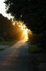 Dawn down the road.