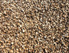 Crushed apricot pits 2