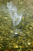 Splash 1
