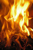 Fireplace series 5
