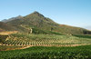 Winelands
