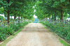 Farm Lane 1