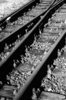 Rail 3