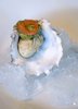 Oyster 3