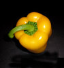 Pepper 1