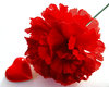 Spreading the love 2