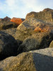 Rocks