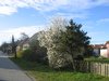 street scenery