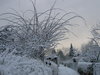 garden way in winter at sunset